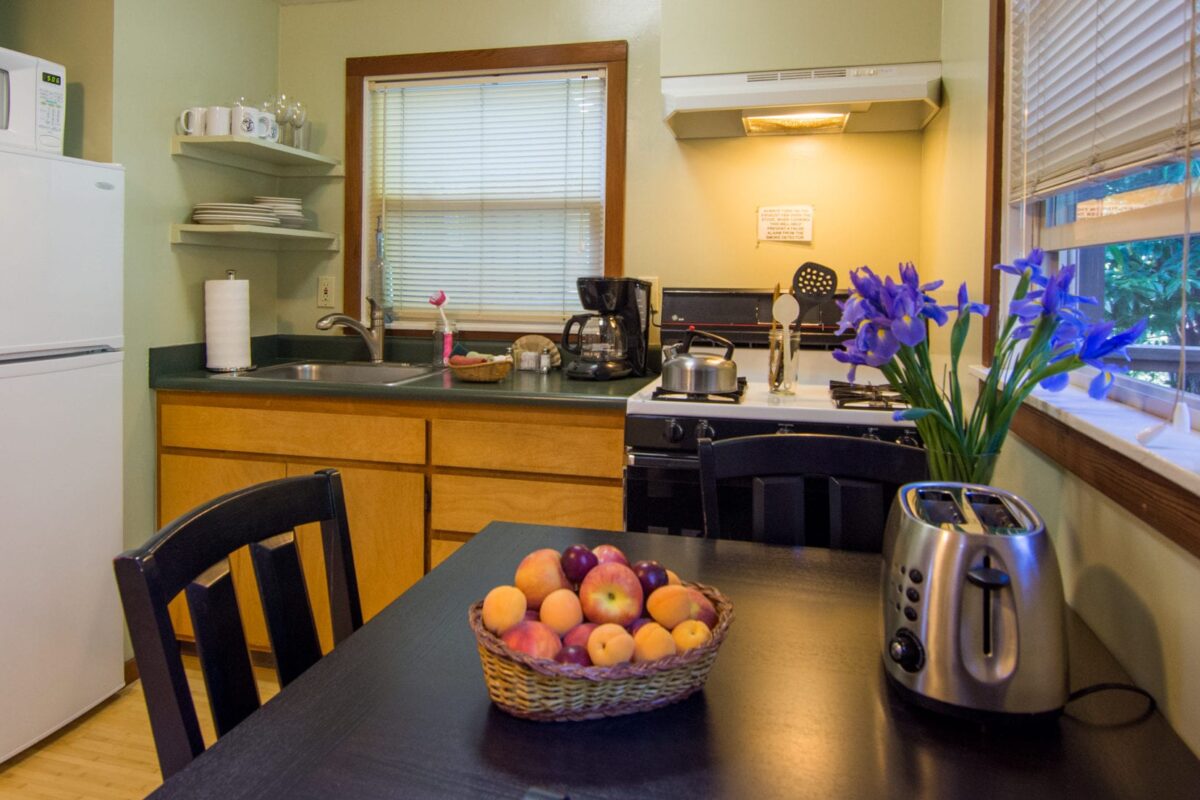 Robin-3704-e1562358528685